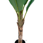 Kunsttaim (Banana Plant)