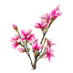 Pink artificial plant (magnolia tree)