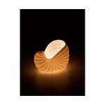 Design candle lantern sea shell (artesanía) intact