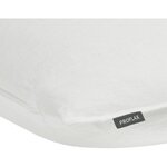 Linen pillowcase sven (proflax) intact