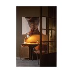 Tummanruskea samettituoliklaani (bepurehome)
