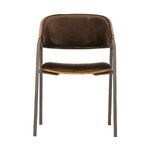Tummanruskea samettituoliklaani (bepurehome)