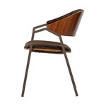 Tummanruskea samettituoliklaani (bepurehome)