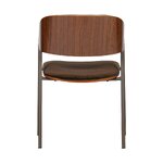 Tummanruskea samettituoliklaani (bepurehome)