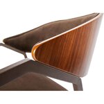 Tummanruskea samettituoliklaani (bepurehome)