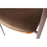 Tummanruskea samettituoliklaani (bepurehome)