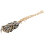 Dried flowers (lagurus)