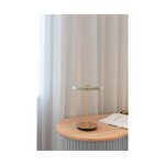 Uzlādējama dizaina LED galda lampa ar asteria (image) skaistumkopšanas kukaiņu
