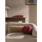 Tumepunane Dekoratiiv Padi (Dotty)D=25