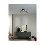 Ceiling lamp (silvan)