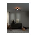 Ceiling lamp (silvan)