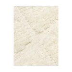 Wool carpet (bayu) 200x300