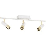 Baltā zelta LED griestu lampa (bobijs)