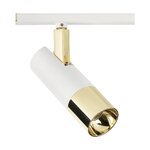 Baltā zelta LED griestu lampa (bobijs)