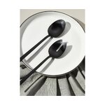 Salad mixing utensils (shine)