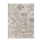 Beež Vintage Stiilis Vaip (Mahd)160x230