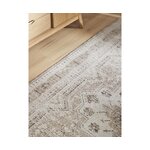 Beež Vintage Stiilis Vaip (Mahd)160x230