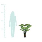 Keinotekoinen kasvi (monstera), jossa on kauneusvirhe