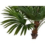 Kunsttaim Palm I (Detall Item)