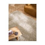 Beige matto hapsuilla (unimainen) 200x300