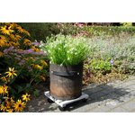 Ratastel Lillepoti Alus (Robert)