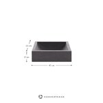 Tamsiai pilka kriauklė Kuveni (La Forma)