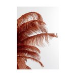 Disain Põrandalamp Feather Palm (Kare Design)