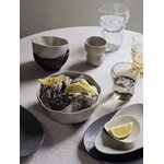 Molio musli dubuo limfjord (broste Kopenhaga) nepažeistas