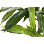 Keinotekoinen kasvi dracaena fragrans (garpe interiores)