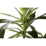 Keinotekoinen kasvi dracaena fragrans (garpe interiores)