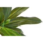 Keinotekoinen kasvi dracaena fragrans (garpe interiores)