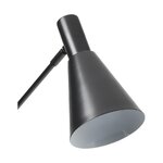 Musta lattiavalaisin (sia) kauneusvirheellä