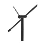 Musta lattiavalaisin (sia) kauneusvirheellä