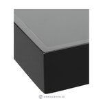 Augsti spīdīga paplāte (hayley)