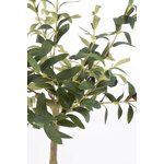 Kunstaim (Olive) H65