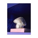 Sienen muotoinen koristedisko (wc)