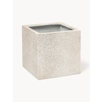 Helebeež Lillepott (Tuscany)