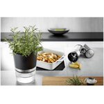 Botanico garšaugu pods (gefu gmbh)