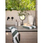 Seebidosaator Stripes (Andrea House)