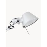 Laualamp (tolomeo)