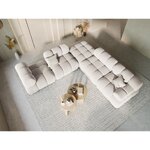 Tumba bellis (besolux)