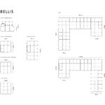 Tumba bellis (besolux)