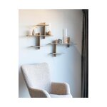 Sienas plaukts gavi (house nordic) (vesels, kastē)