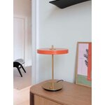 Galda lampa asteria (umage) ar defektu
