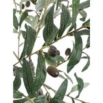 Kunsttaim Olive (Bizzotto)