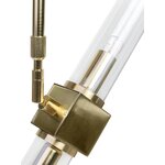 Zelta kulona lampa (piper) (vesels, vesels, vesels)