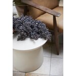 Smėlio spalvos kavos staliukas molinis indas (hklivingas) nepažeistas