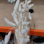 Сухоцветы в лагурусе (дизайн cooee) с изъянами.