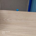 Seinariiul (Octavia)