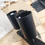 Musta kattovalaisin Etna (Sollux)